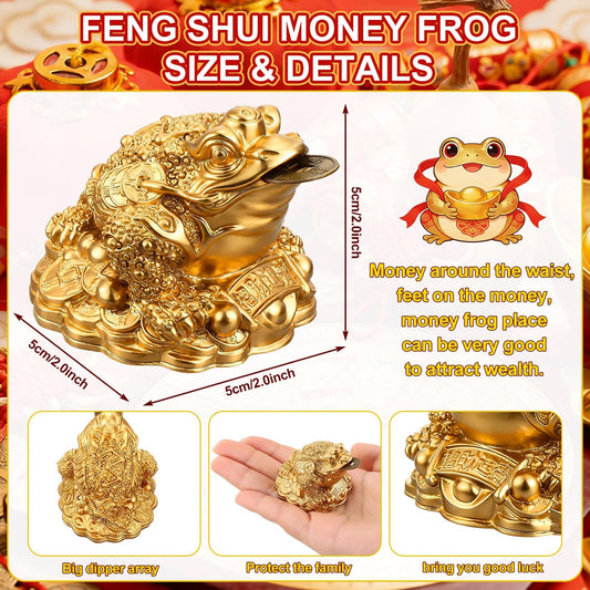 3 Pieces Feng Shui Money Frog Lucky Money Toad Decorations Chinese Knot Lucky Coins with Keychain for Longevity Travel Safely Wealth Success and Good Luck for Attracting Wealth Success