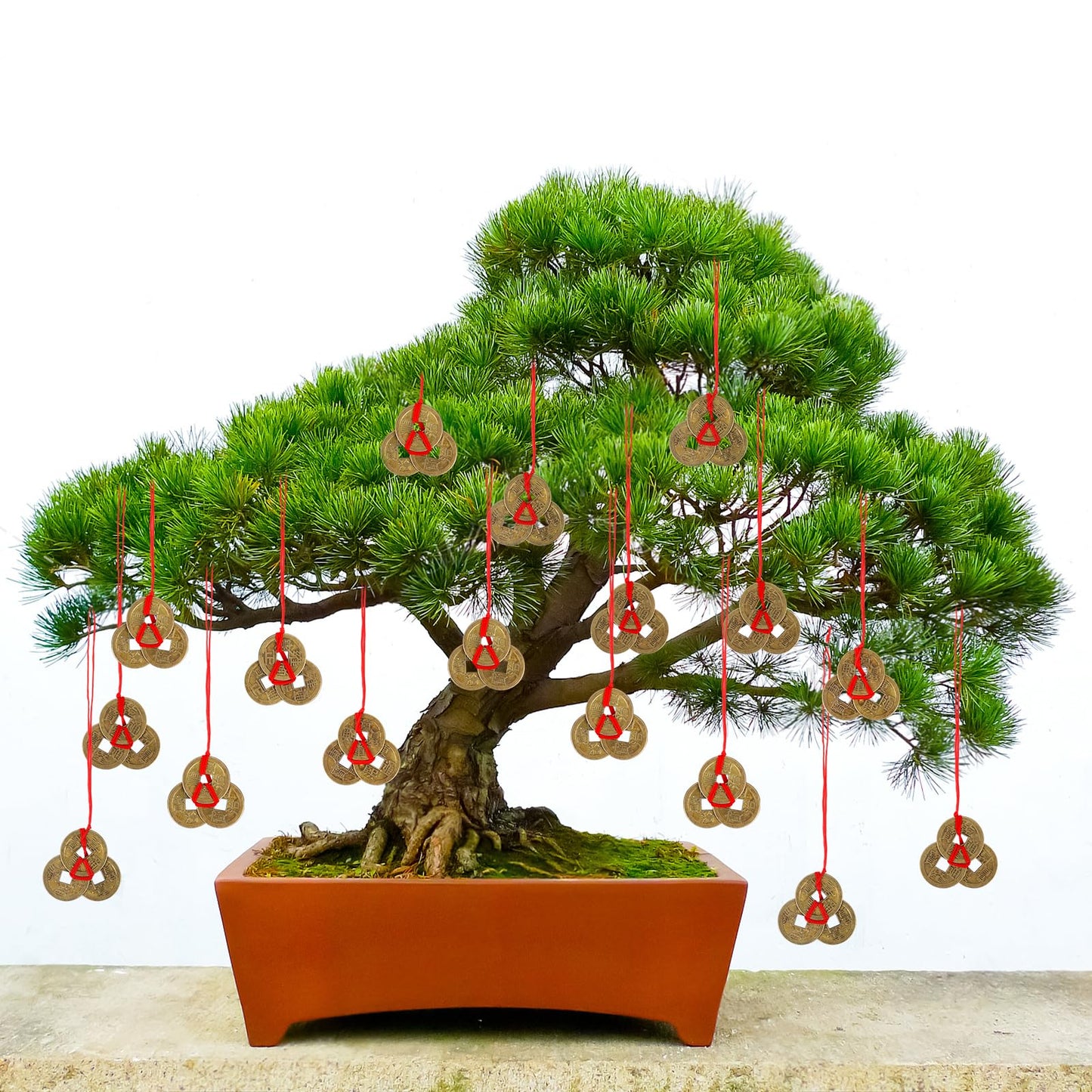 Abundant Wealth Taoist Talisman – Handwritten & Blessed for Prosperity, Wealth & Good Fortune